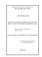 Thi hành các hình phạt không tước tự do theo pháp luật việt nam từ thực tiễn tỉnh bắc giang 