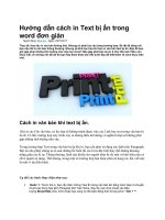 Hướng dẫn cách in text bị ẩn trong word đơn giản