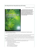 Hệ thống kiến thức tiếng việt trong nhà trường 