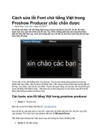 Cách sửa lỗi font chữ tiếng việt trong proshow producer chắc chắn được