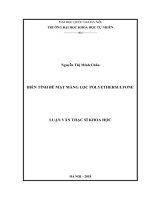 Nghiên cứu biến tính bề mặt màng lọc polyethersulfone (PES) 