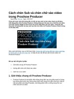 Cách chèn sub và chèn chữ vào video trong proshow producer