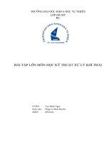 BÀI TẬP LỚN MÔN HỌC KỸ THUẬT XỬ LÝ KHÍ THẢI