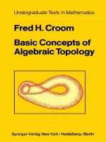 Basic concepts of algebraic topology 