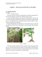 Đồ án thiết kế cồn 99 độ từ sắn khô năng suất 5 tấnngày