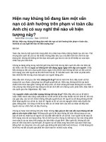 Hiện nay khủng bố đang làm một vấn nạn có ảnh hưởng trên phạm vi toàn cầu anh chị có suy nghĩ thế nào về hiện tượng này