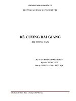 Bài giảng Rèn kĩ năng sử dụng tiếng Việt ngành Văn  Tiểu học
