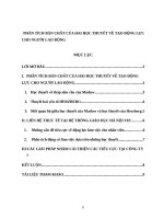 PHÂN TÍCH bản CHẤT của HAI học THUYẾT về tạo ĐỘNG lực CHO NGƯỜI LAO ĐỘNG 