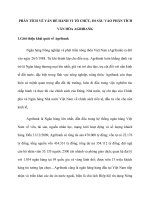 Phân tích về vấn đề hành vi tổ chức, đi sâu vào phân tích văn hóa agribank 