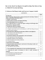 Dựa vào học thuyết tạo động lực cho người lao động thực hiện tại công ty TNHH MTV da giầy hải phòng  e 