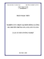 Nghiên cứu chọn tạo 4 dòng gà ông bà chuyên trứng GT1,GT2, GT3 và GT4