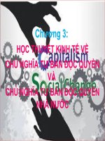 CHƯƠNG 3 HỌC THUYẾT KINH TẾ VỀCHỦ NGHĨA TƯ BẢN ĐỘC QUYỀN VÀ CHỦ NGHĨA TƯ BẢN ĐỘC QUYỀN NHÀ NƯỚC