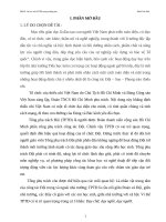 Sáng kinh nghiệm Vai trò của Tổng phụ trách Đội trong trường Tiểu học