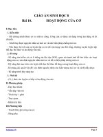 Giáo án Sinh học 8 bài 10: Hoạt động của cơ