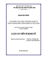 Tác động của tăng trưởng kinh tế theo ngành đến giảm nghèo ở Việt Nam