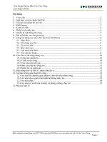 THUYET MINH BP DONG COC SGT 30x30cm