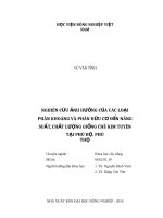 Nghiên cứu ảnh hưởng của các loại phân khoáng và phân hữu cơ đến năng suất, chất lượng giống chè kim tuyên tại phú hộ, phú thọ 