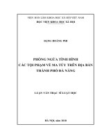 Phòng ngừa tình hình các tội phạm về ma túy trên địa bàn thành phố đà nẵng 