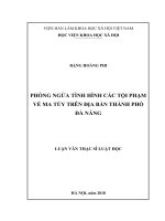 Phòng ngừa tình hình các tội phạm về ma túy trên địa bàn thành phố đà nẵng 