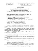 Báo cáo đề xuất chủ trương đường điện