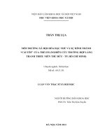 MÔI TRƯỜNG XÃ HỘI HÓA ĐẶC THÙ VÀ VAI TRÒ CỦA NHÂN VIÊN CÔNG TÁC XÃ HỘI TẠI TRUNG TÂM BẢO TRỢ XÃ HỘI TP. HỒ CHÍ MINH