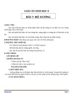 Giáo án Sinh học 8 bài 7: Bộ xương