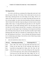 Nghiên cứu marketing hiện đại – viral marketing 