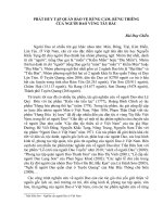 Rừng cấm, rừng thiêng của người Dao gắn với bảo vệ rừng