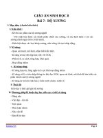 Giáo án Sinh học 8 bài 7: Bộ xương