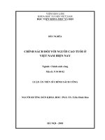 Chính sách đối với người cao tuổi ở Việt Nam hiện nay (Luận văn thạc sĩ)