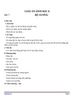 Giáo án Sinh học 8 bài 7: Bộ xương