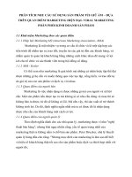 Phân tích nhu cầu sử dụng sản phẩm túi giữ ấm – dựa trên quan điểm marketing hiện đại  viral marketing phân phối kinh doanh sản phẩm 