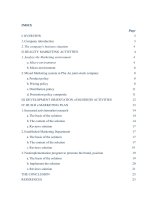 PHÂN TÍCH THỰC TRẠNG và ĐỊNH HƯỚNG HOẠT ĐỘNG MARKETING tại CÔNG TY CP PHÚ AN e 