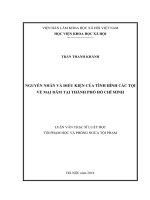 Nguyên nhân và điều kiện của tình hình các tội về mại dâm tại thành phố hồ chí minh 