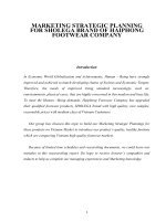 Xây dựng kế hoạch marketing cho sản phẩm giầy thể thao mang nhãn hiệu SHOLEGA của công ty da giầy hải phòng e