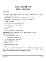 Giáo án Sinh học 8 bài 7: Bộ xương