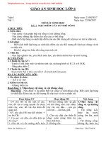 Giáo án môn sinh học 6 cả năm chuẩn kiến thức 2018