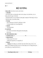 Giáo án Sinh học 8 bài 7: Bộ xương