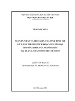 Nguyên nhân và điều kiện của tình hình tội cố ý gây thương tích hoặc gây tổn hại cho sức khỏe của người khác tại quận 6, thành phố hồ chí minh 