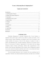 Xây dựng kế hoạch marketing sản phẩm bia hơi hải phòng e 