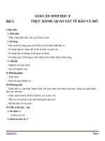 Giáo án Sinh học 8 bài 5: Thực hành quan sát tế bào và mô