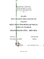 Đề tài phân tích tình hình lợi nhuận cho công ty cổ phần thành thành công   biên hòa