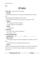 Giáo án Sinh học 8 bài 3: Tế bào