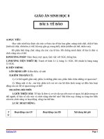 Giáo án Sinh học 8 bài 3: Tế bào