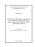 Nguyên nhân và điều kiện của tình hình tội cố ý gây thương tích hoặc gây tổn hại cho sức khỏe của người khác tại quận 6, thành phố hồ chí minh