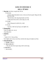 Giáo án Sinh học 8 bài 3: Tế bào