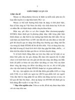 Nghiên cứu giải phẫu các nhánh thần kinh chi phối cơ vòng mắt và cơ duỗi các ngón tay ứng dụng trong kỹ thuật điện cơ kim sợi đơn độc ở bệnh nhân nhược cơ (tt) 