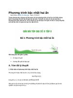 Phương trình bậc nhất hai ẩn