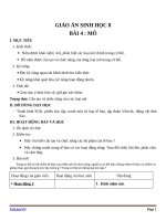 Giáo án Sinh học 8 bài 4: Mô