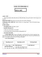 Giáo án Sinh học 8 bài 4: Mô